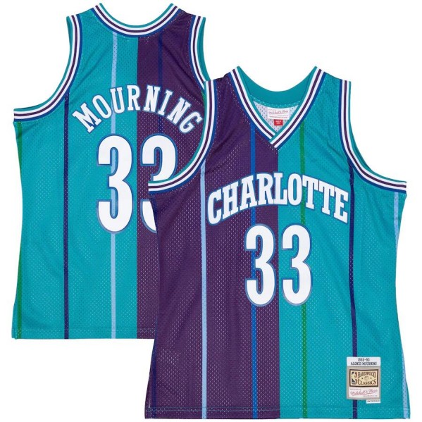 Men's Charlotte Hornets #33 Alonzo Mourning Teal/Purple Split 1992-93 Mitchell & Ness Swingman Stitched Jersey